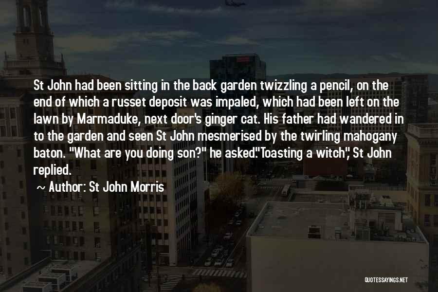 Father Left His Son Quotes By St John Morris