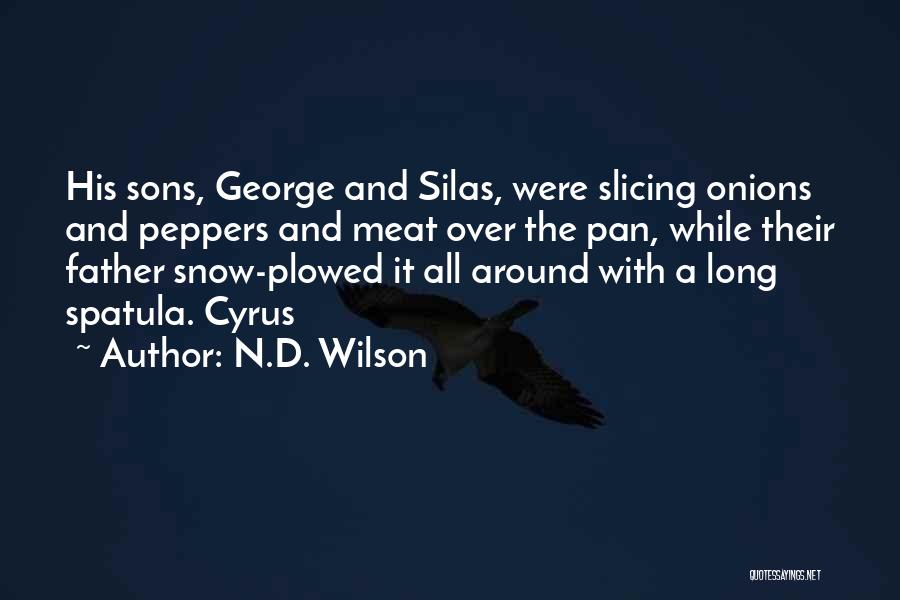 Father N Sons Quotes By N.D. Wilson
