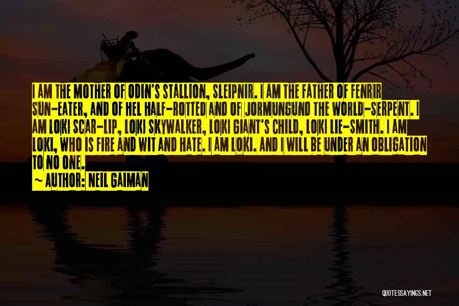 Father Obligation Quotes By Neil Gaiman