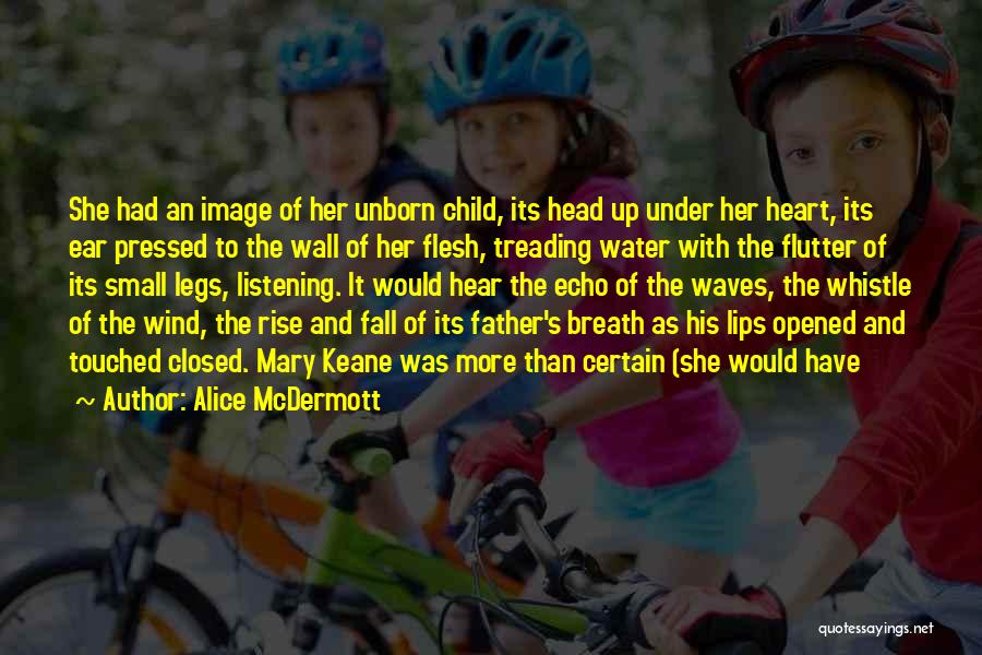 Father Of My Unborn Child Quotes By Alice McDermott