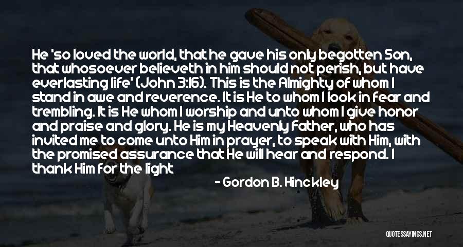 Father Son Life Quotes By Gordon B. Hinckley Father Son Life Quotes By Gordon B. Hinckley
