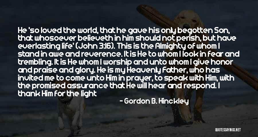 Father Son Life Quotes By Gordon B. Hinckley