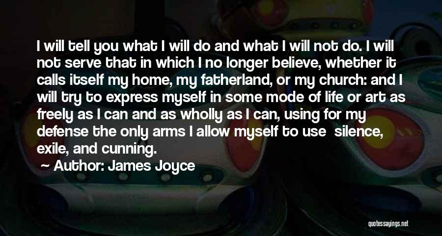 Fatherland Quotes By James Joyce