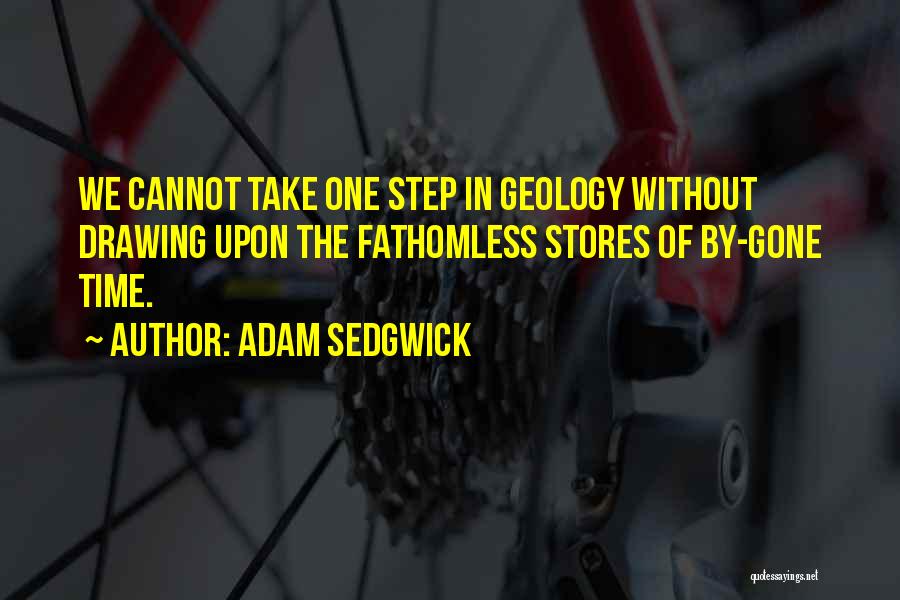 Fathomless Quotes By Adam Sedgwick