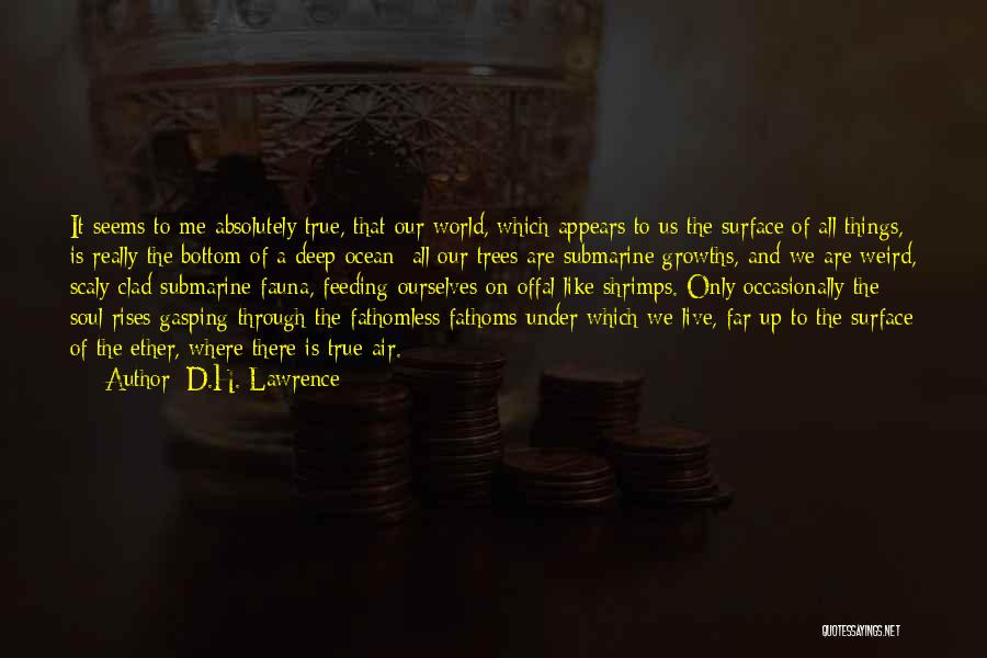 Fathomless Quotes By D.H. Lawrence