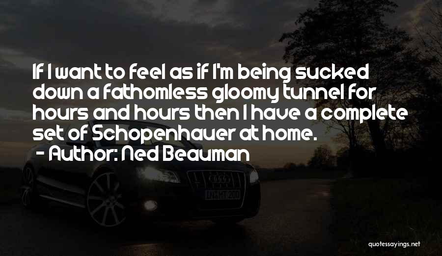 Fathomless Quotes By Ned Beauman