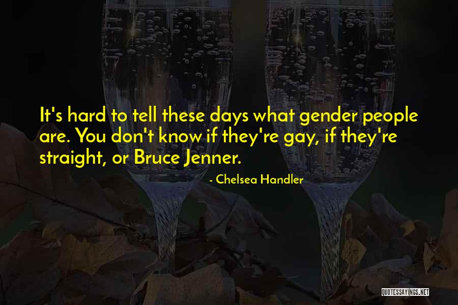 Fatou Diome Quotes By Chelsea Handler Fatou Diome Quotes By Chelsea Handler