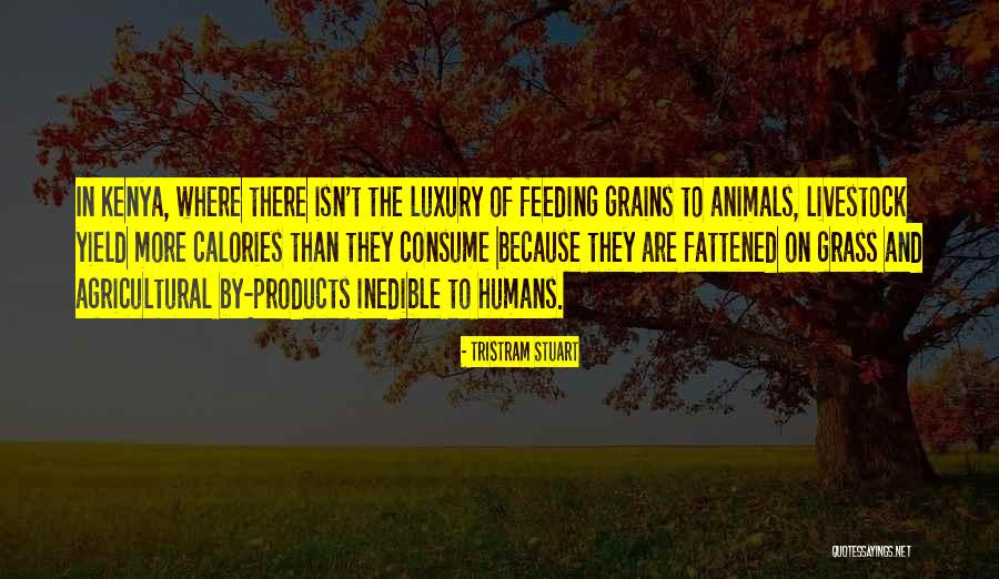 Fattened Quotes By Tristram Stuart Fattened Quotes By Tristram Stuart