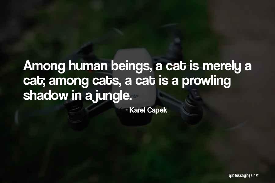 Fatty Legs Quotes By Karel Capek Fatty Legs Quotes By Karel Capek