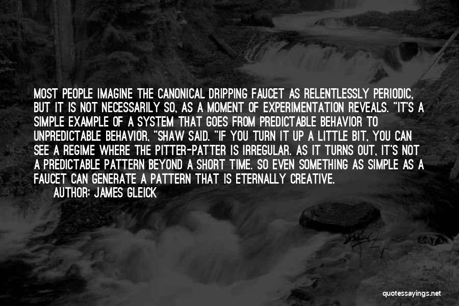 Faucet Quotes By James Gleick