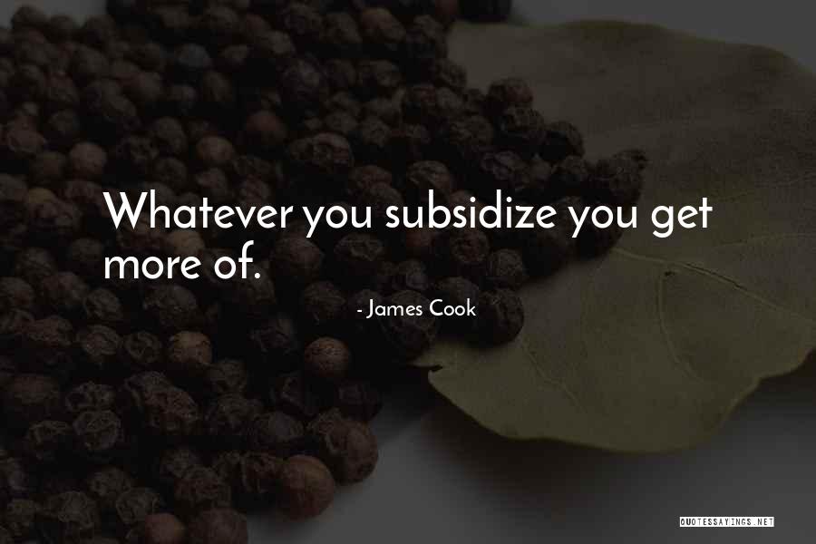 Fauler Law Quotes By James Cook Fauler Law Quotes By James Cook