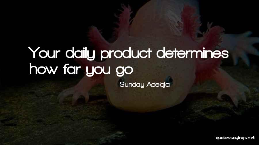 Faulstich Law Quotes By Sunday Adelaja Faulstich Law Quotes By Sunday Adelaja