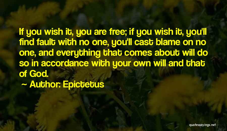 Fault Blame Quotes By Epictetus