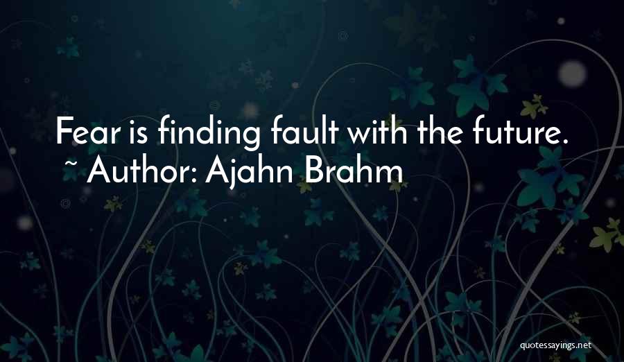 Fault Finding Quotes By Ajahn Brahm