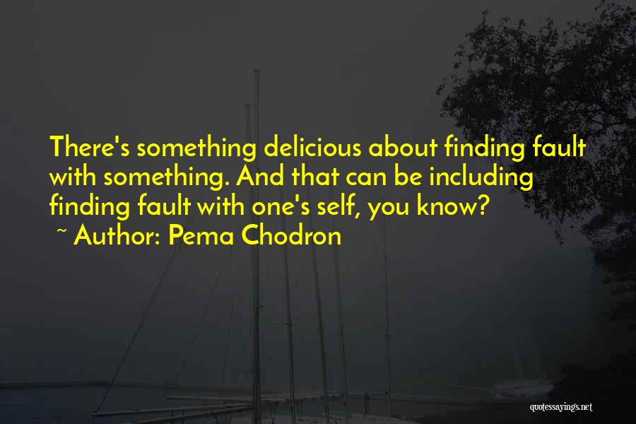 Fault Finding Quotes By Pema Chodron