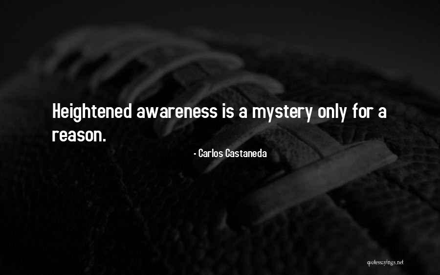 Fault Finding Synonym Quotes By Carlos Castaneda Fault Finding Synonym Quotes By Carlos Castaneda