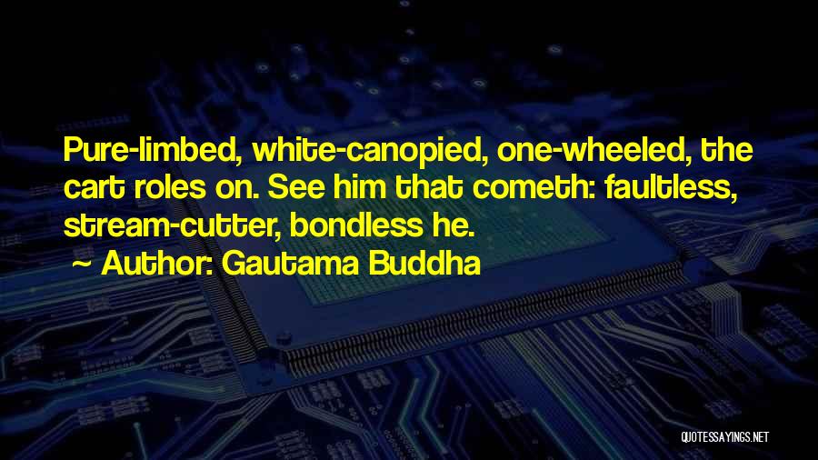 Faultless Quotes By Gautama Buddha