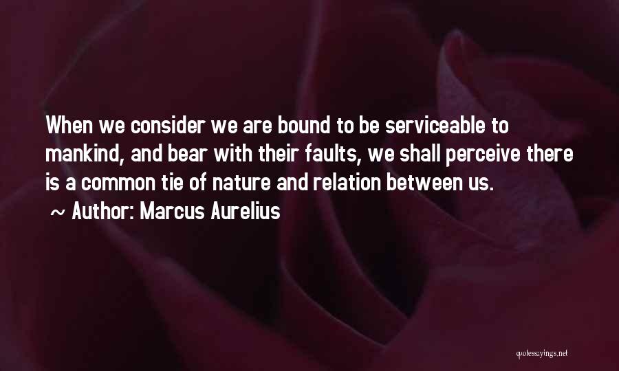 Faults Quotes By Marcus Aurelius