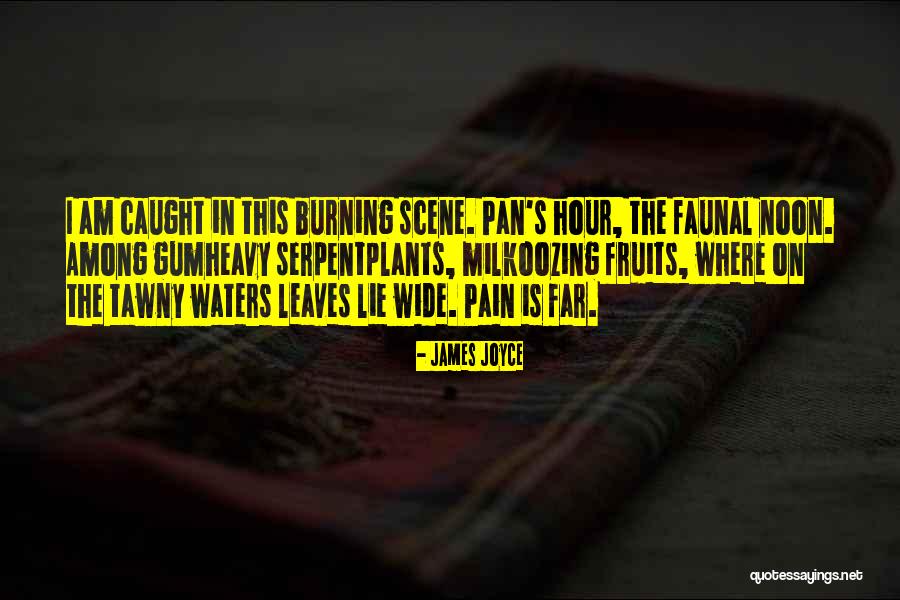 Faunal Quotes By James Joyce Faunal Quotes By James Joyce