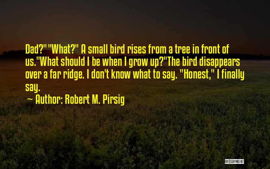 Faura Netflix Quotes By Robert M. Pirsig