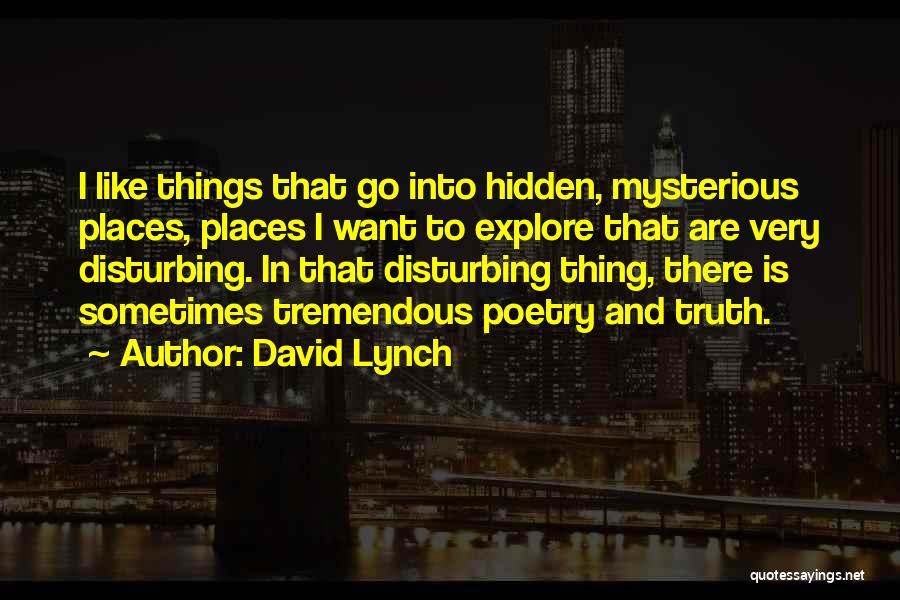 Fausses Flames Quotes By David Lynch