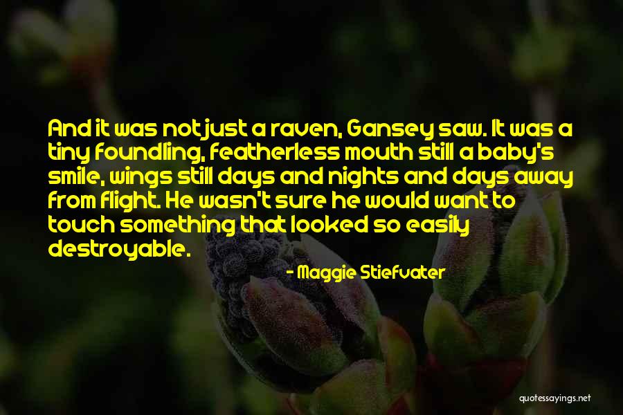 Faustino Sanchez Quotes By Maggie Stiefvater Faustino Sanchez Quotes By Maggie Stiefvater
