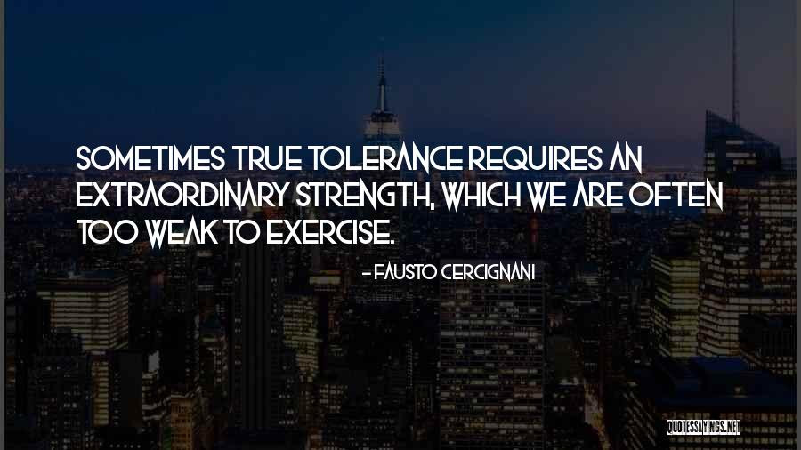 Fausto Cercignani Quotes 1452697