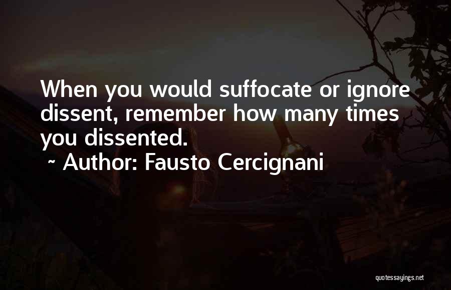 Fausto Cercignani Quotes 366337