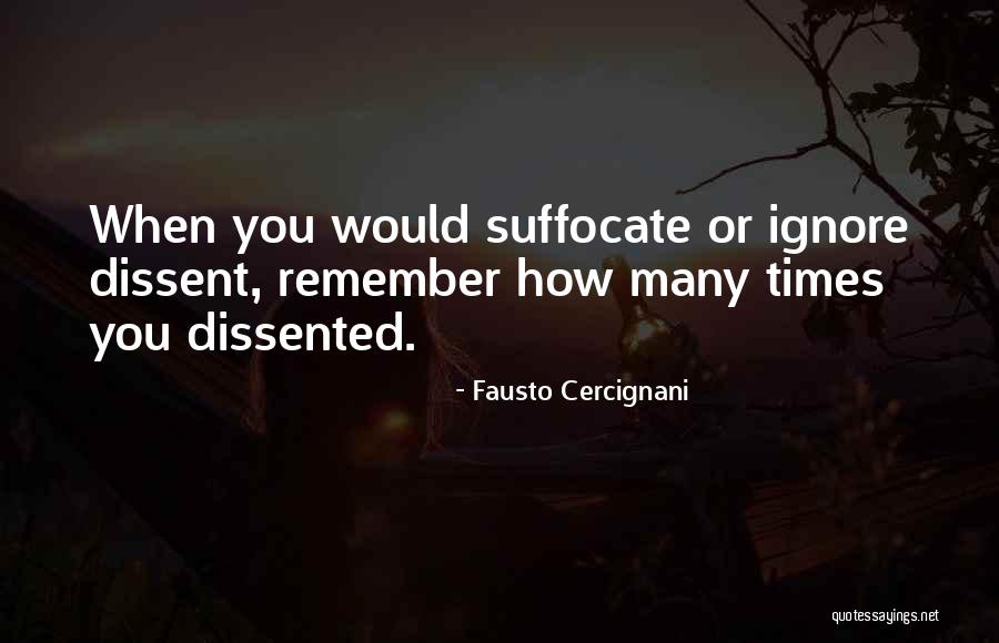 Fausto Cercignani Quotes 366337