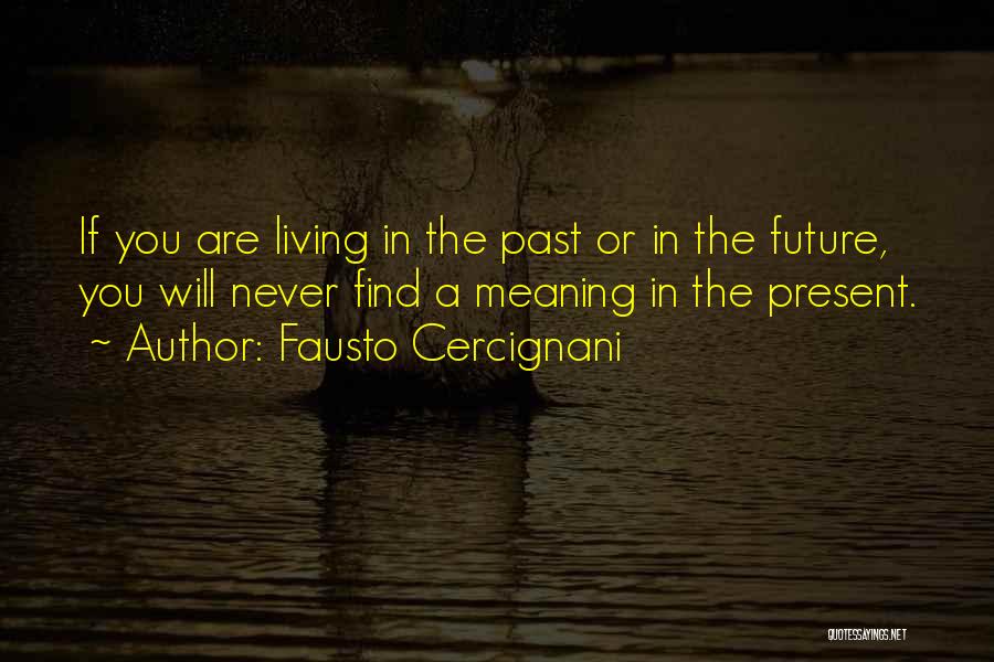 Fausto Quotes By Fausto Cercignani