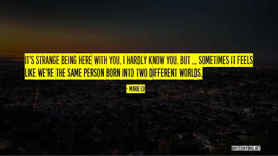 Favino Guitars Quotes By Marie Lu Favino Guitars Quotes By Marie Lu