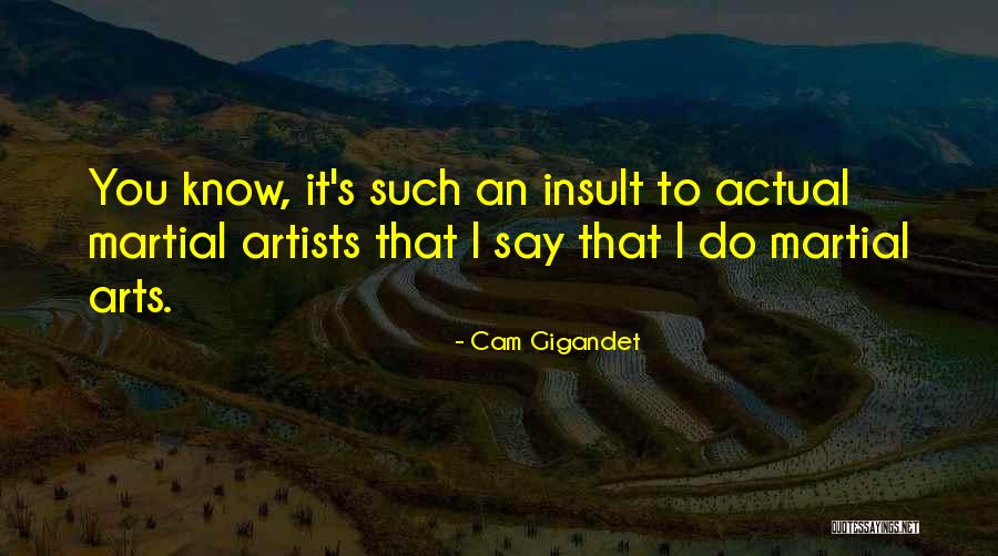 Favole Anni Quotes By Cam Gigandet Favole Anni Quotes By Cam Gigandet