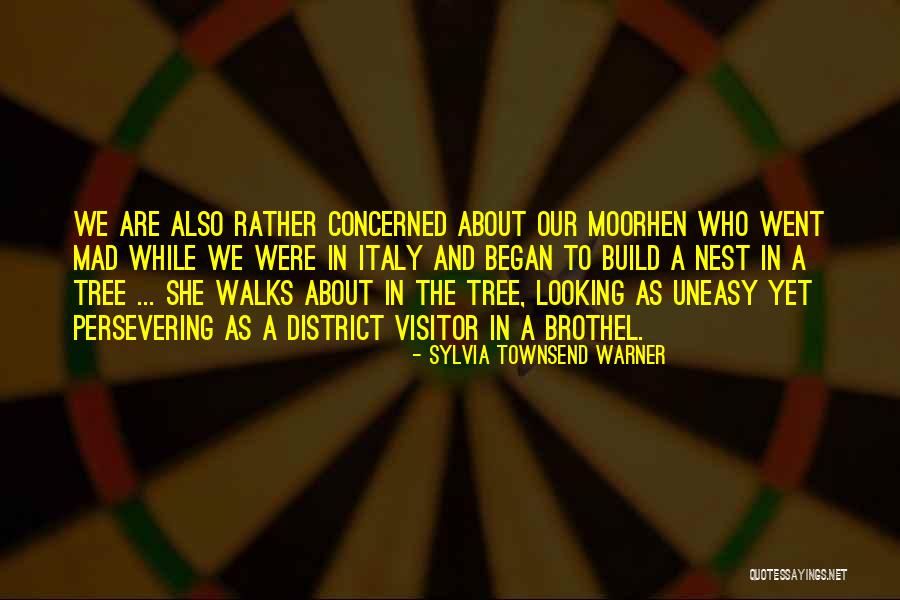 Favoreto Leilao Quotes By Sylvia Townsend Warner Favoreto Leilao Quotes By Sylvia Townsend Warner