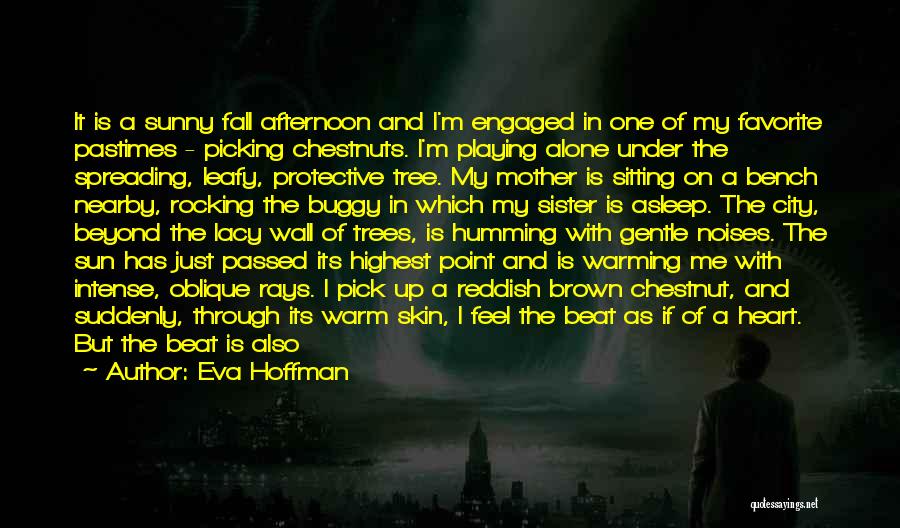 Favorite City Quotes By Eva Hoffman
