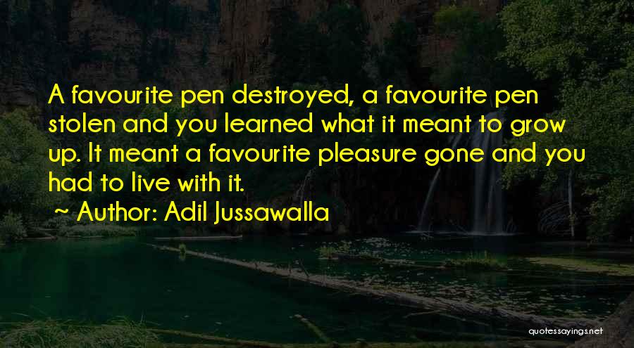 Favourite Quotes By Adil Jussawalla