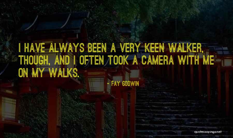 Fay Godwin Quotes 1625491