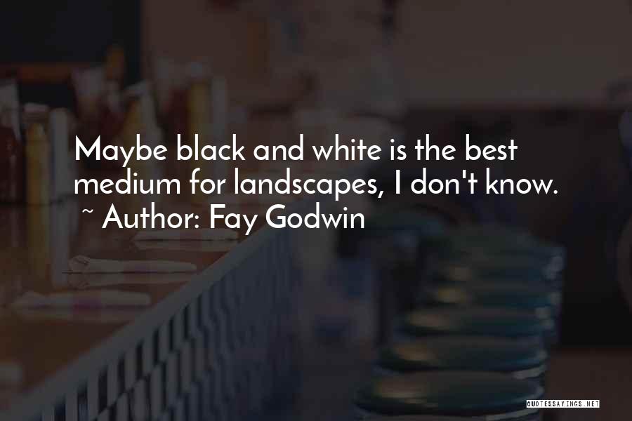 Fay Godwin Quotes 2019144