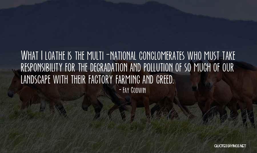 Fay Godwin Quotes 636104 Fay Godwin Quotes 636104