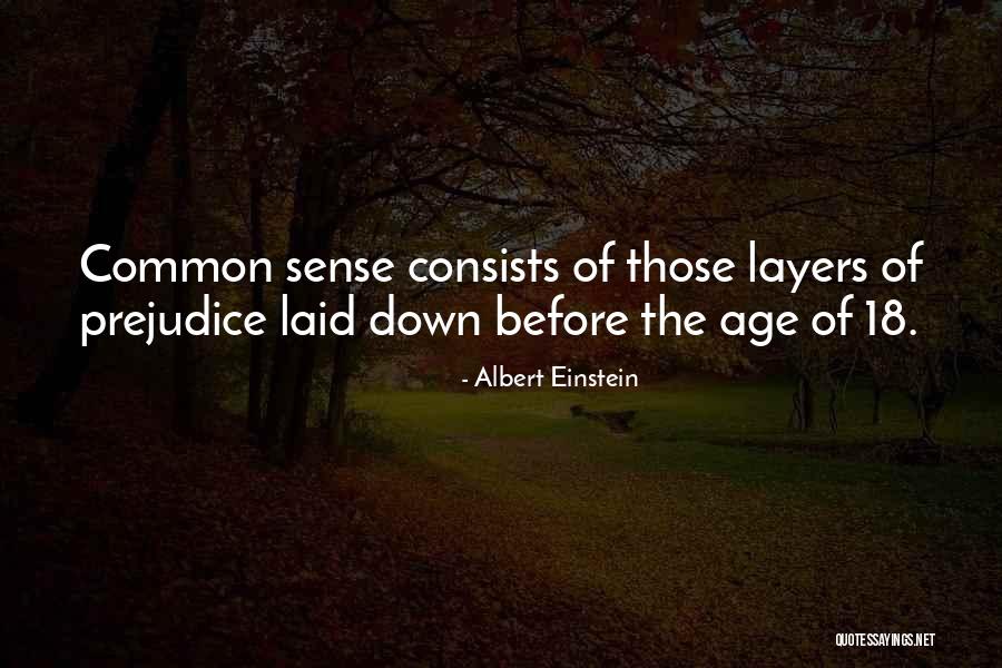 Faye 1st Sleepover Quotes By Albert Einstein Faye 1st Sleepover Quotes By Albert Einstein