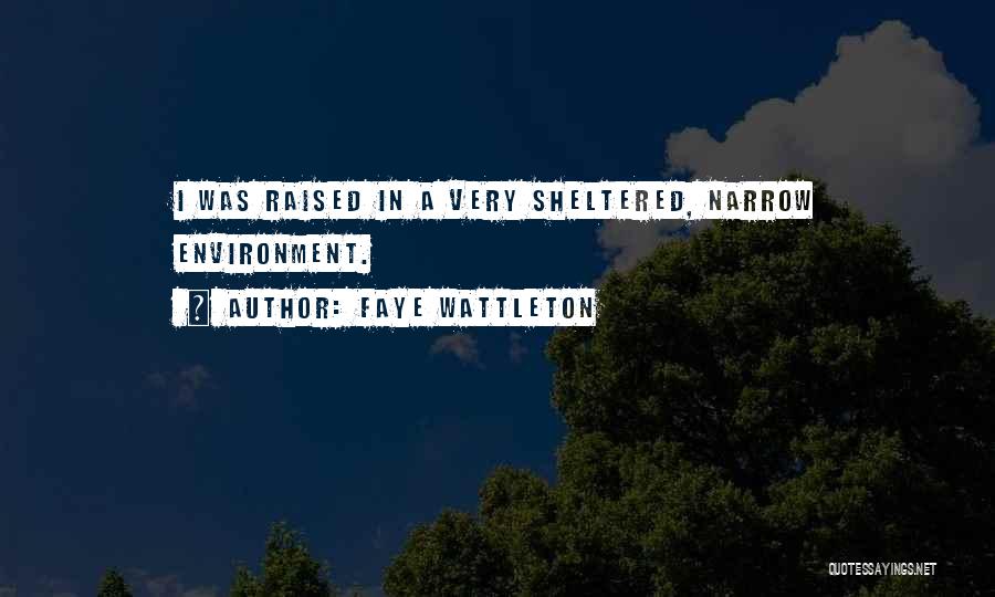 Faye Wattleton Quotes 1043726