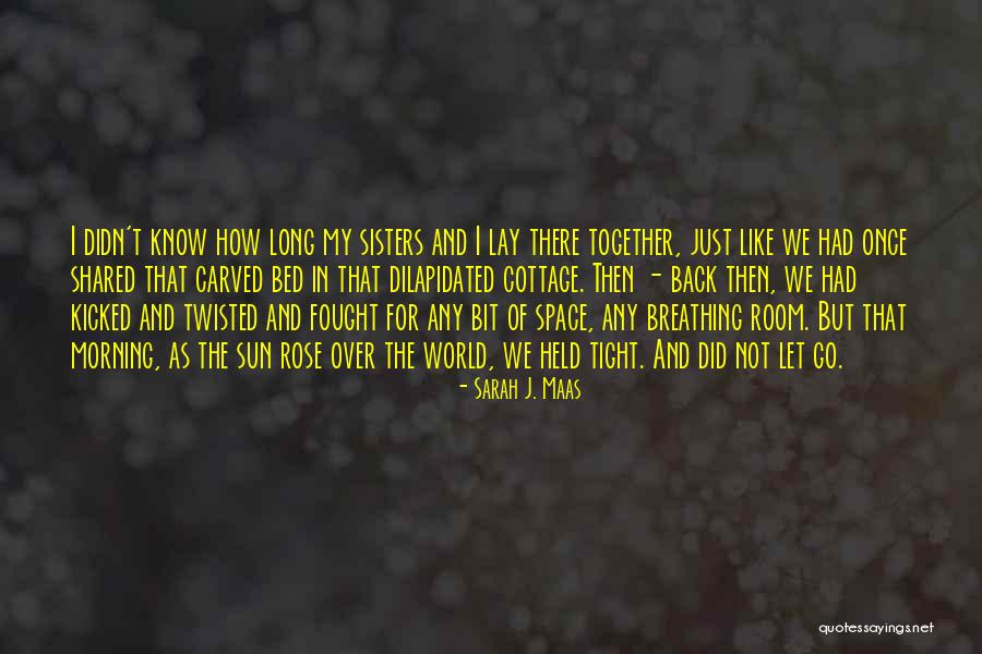 Faymann Lebenslauf Quotes By Sarah J. Maas Faymann Lebenslauf Quotes By Sarah J. Maas