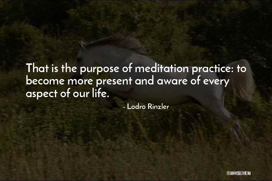 Fayssal El Jabali Quotes By Lodro Rinzler Fayssal El Jabali Quotes By Lodro Rinzler