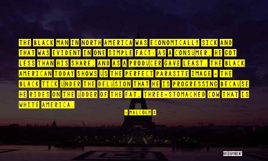 Fayssal Mignon Quotes By Malcolm X Fayssal Mignon Quotes By Malcolm X
