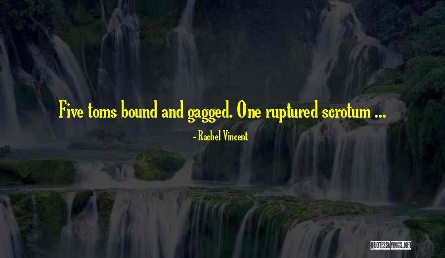 Faythe Sanders Quotes By Rachel Vincent Faythe Sanders Quotes By Rachel Vincent