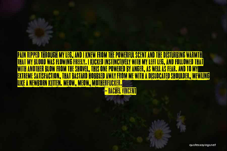 Faythe Sanders Quotes By Rachel Vincent Faythe Sanders Quotes By Rachel Vincent