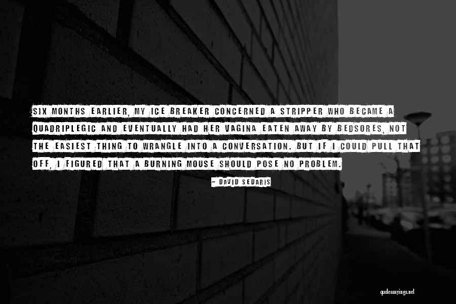 Fazaa Application Quotes By David Sedaris Fazaa Application Quotes By David Sedaris