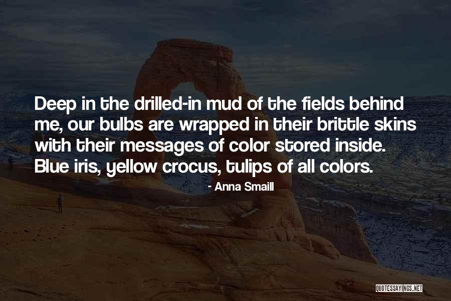 Fazle Hussain Quotes By Anna Smaill Fazle Hussain Quotes By Anna Smaill