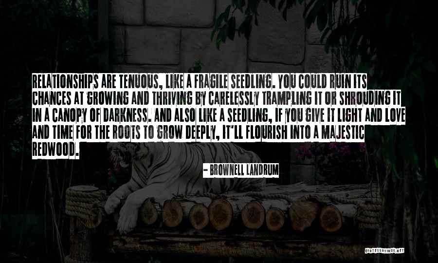 Fazlinejad Quotes By Brownell Landrum Fazlinejad Quotes By Brownell Landrum