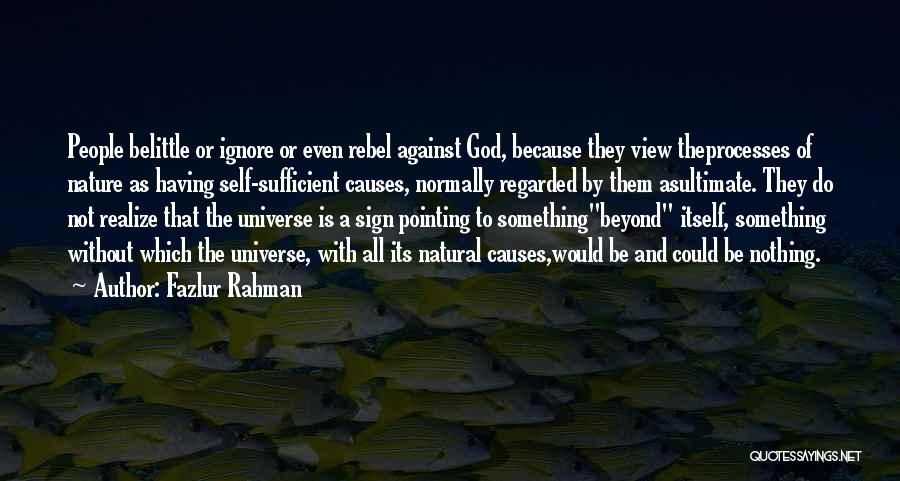 Fazlur Rahman Quotes 113798