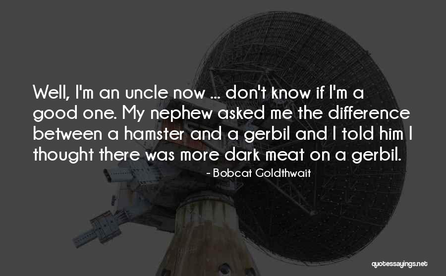 Fb Status Updates Quotes By Bobcat Goldthwait Fb Status Updates Quotes By Bobcat Goldthwait